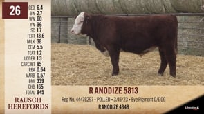 Lot #26 - R ANODIZE 5813