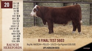 Lot #20 - R FINAL TEST 5603