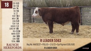 Lot #18 - R LEADER 5563