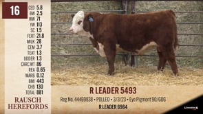 Lot #16 - R LEADER 5493