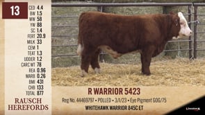 Lot #13 - R WARRIOR 5423