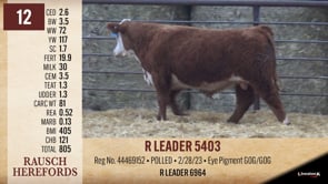 Lot #12 - R LEADER 5403
