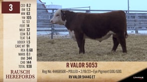 Lot #3 - R VALOR 5053