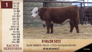 Lot #1 - R VALOR 5013