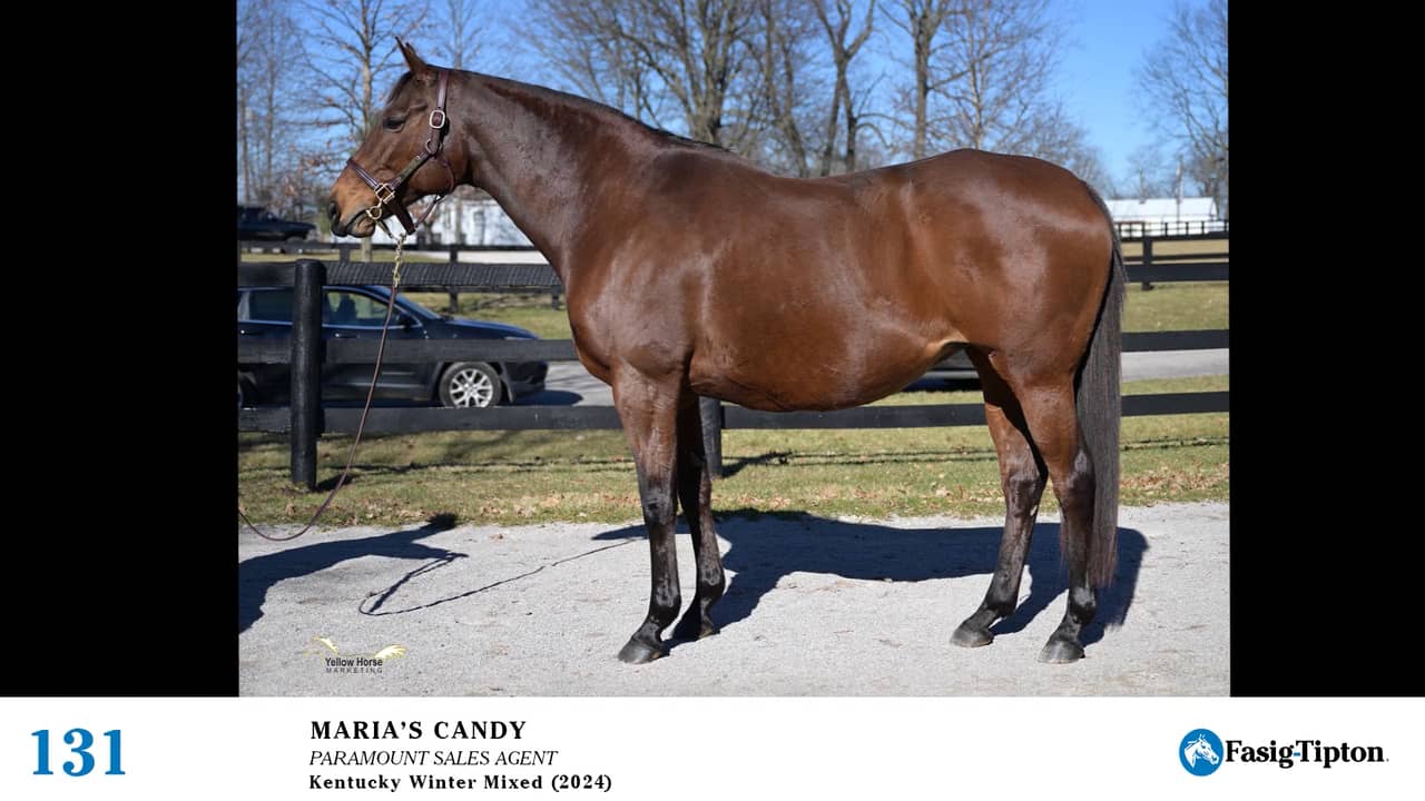 2024 FasigTipton Kentucky Winter Mixed Sale Hip 131 Maria's Candy