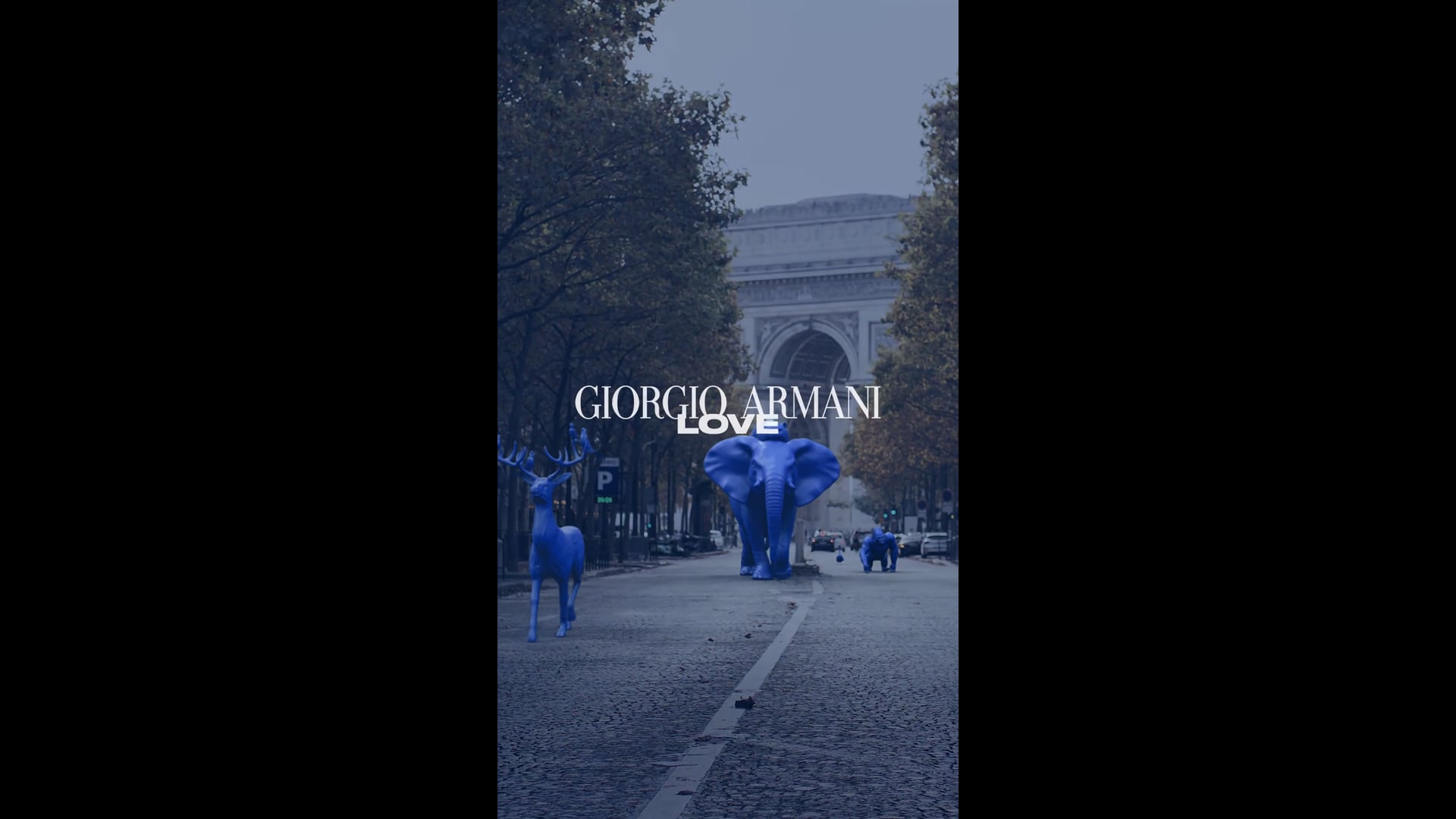 ARMANI LOVE PARIS