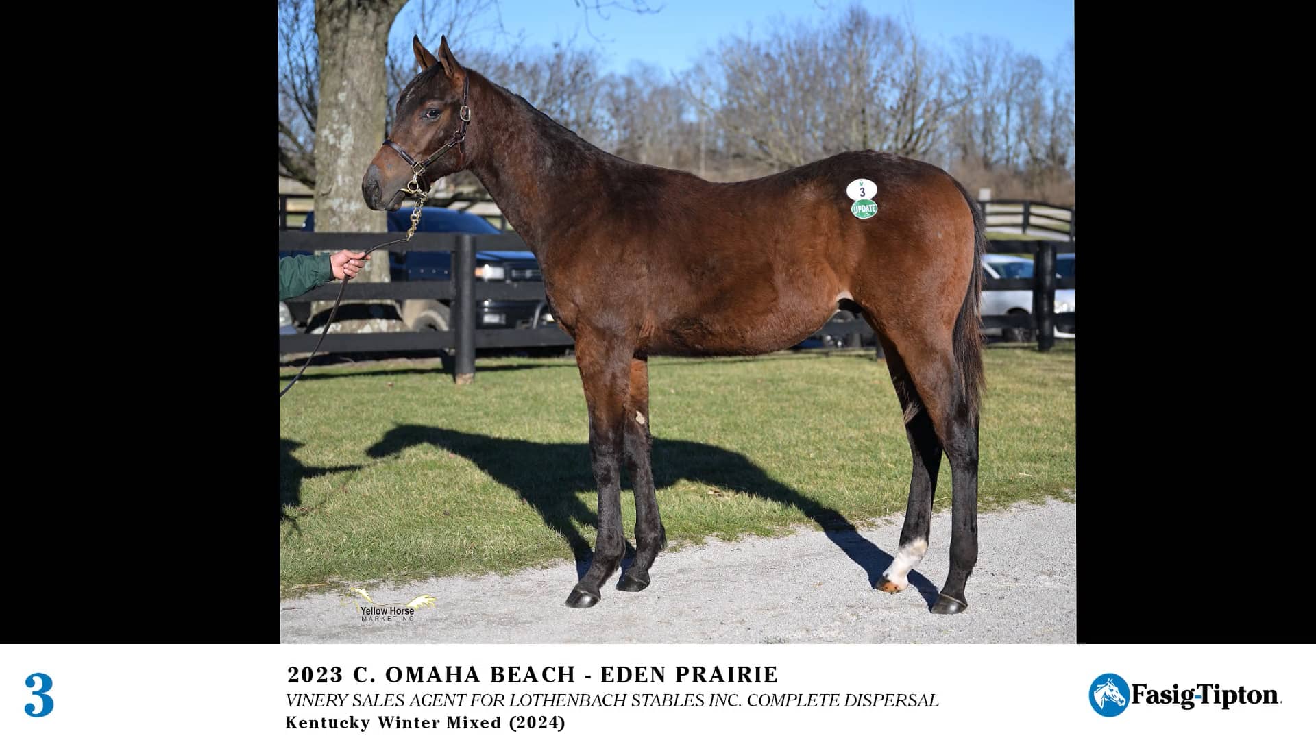 2024 FasigTipton Kentucky Winter Mixed Sale Hip 3 Omaha Beach x Eden