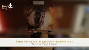 Find vitality & energy 2024-01-31