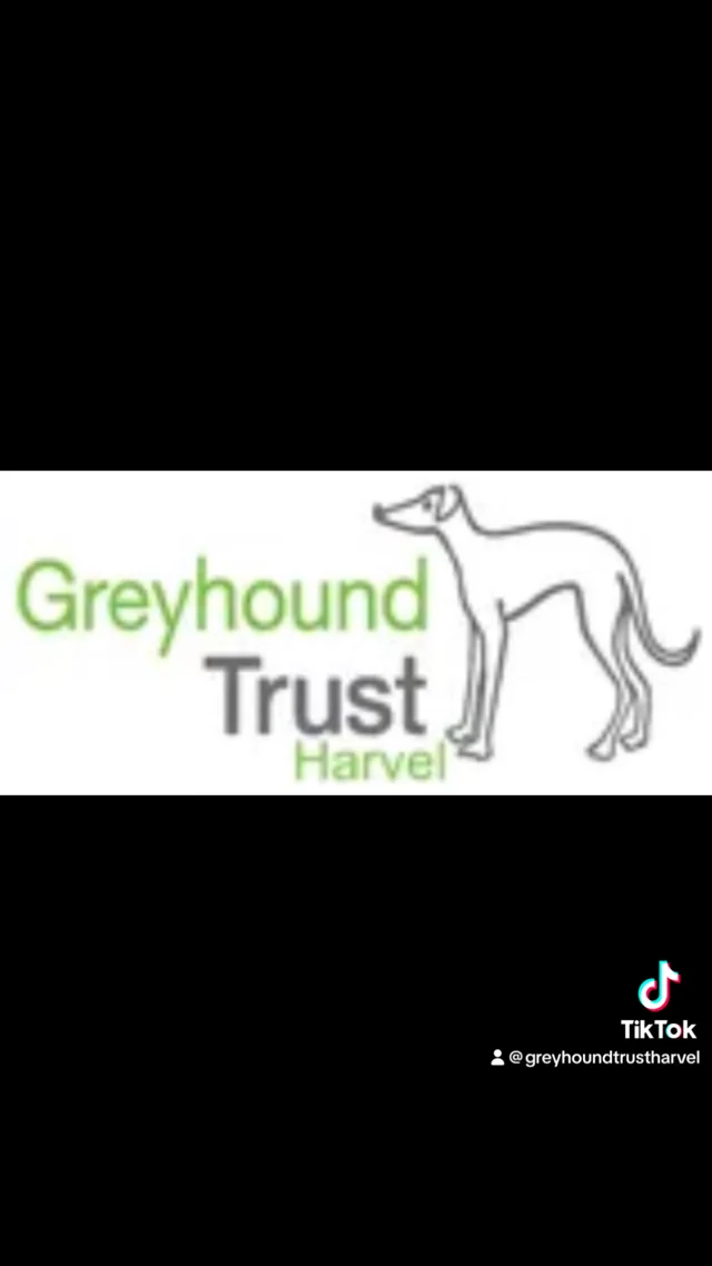 Retired store greyhound trust