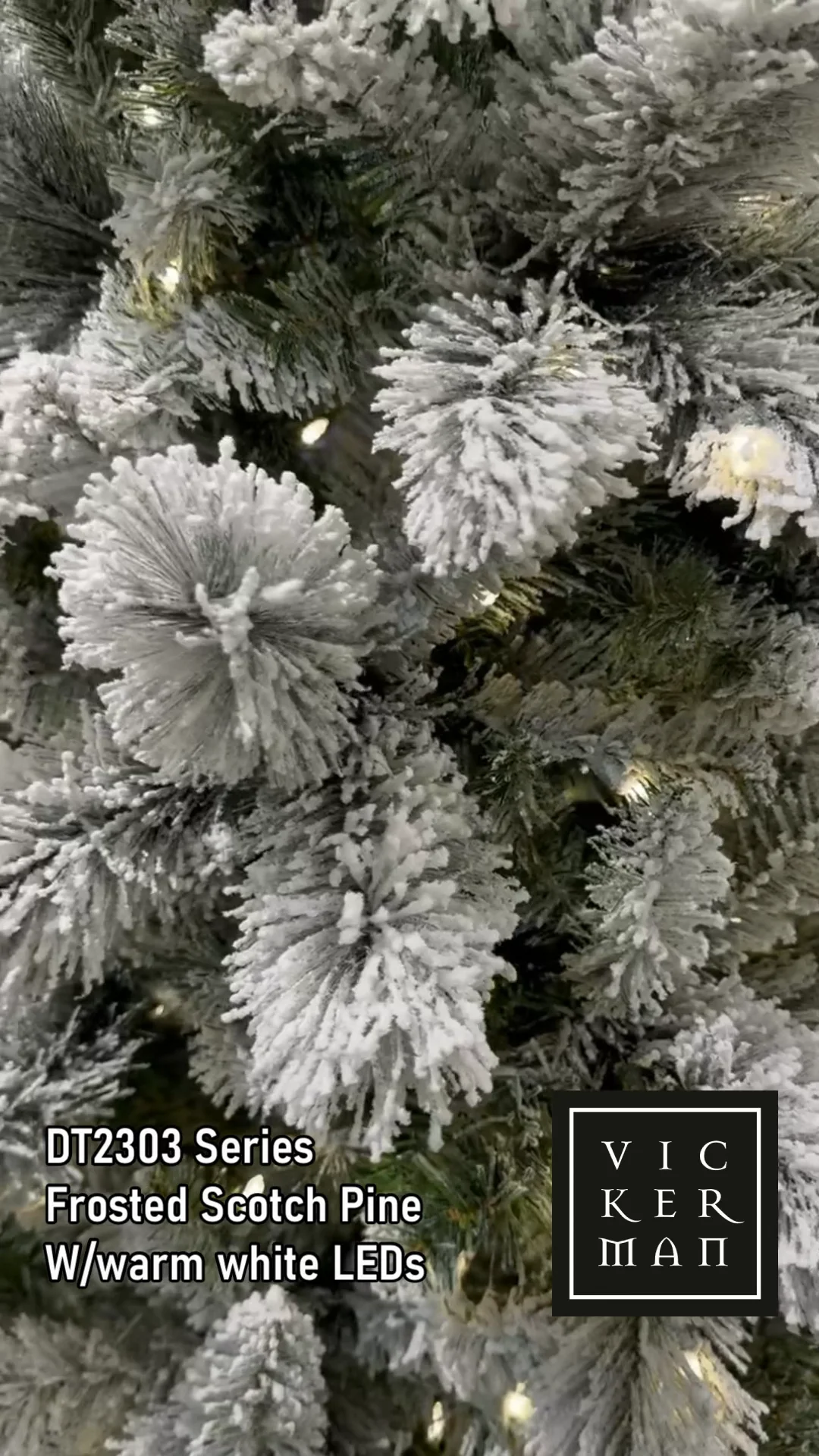 DT2303 Series - Frosted Scotch Pine on Vimeo