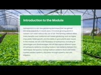 Module 1: Introduction to Hydroponics