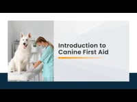 Module 01: Introduction to Canine First Aid