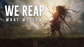 12-01-2023 - We Reap What We Sow