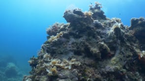 Mor un submarinista mentre feia una immersió