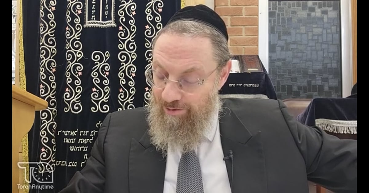 R' Dovid Tugendhaft | Lively Mishna Brura 205.3-206.3a Accidentally ...