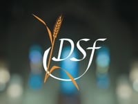 The Archdiocese of Galveston-Houston | 2024 Diocesan Services Fund (DSF) Campaign - "We are the Lord's!"