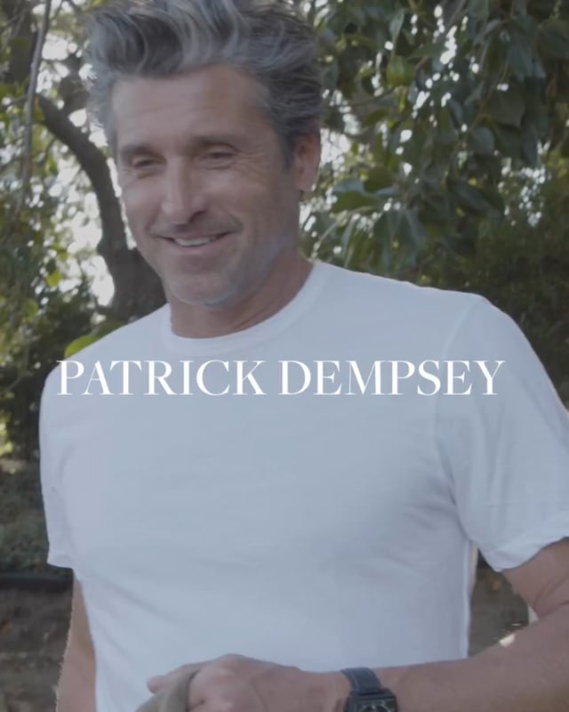Nobleman Patrick Dempsey