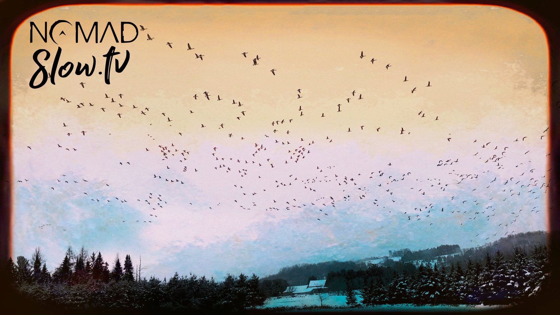 Birds Fill the Sky of Early Winter 2023 - NOMADslow.tv