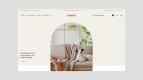 Camicado Web | por Work & Co - 2023 - 