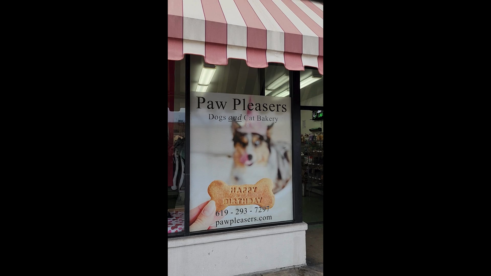 Dog and outlet cat bakery