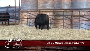Lot #2 - MILLARS JESSE DUKE 372
