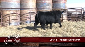 Lot #13 - MILLARS DUKE 340