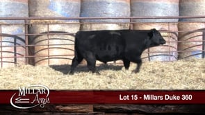 Lot #15 - MILLARS DUKE 360