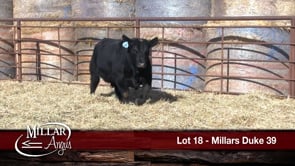 Lot #18 - MILLARS DUKE 39