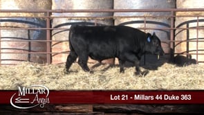 Lot #21 - MILLARS 44 DUKE 363
