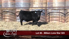 Lot #36 - MILLARS LONE STAR 323