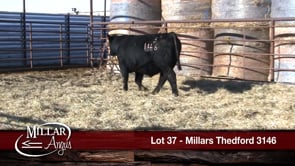 Lot #37 - MILLARS THEDFORD 3146