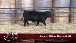Lot #41 - MILLARS THEDFORD 357