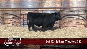 Lot #42 - MILLARS THEDFORD 312