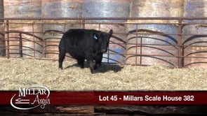 Lot #45 - MILLARS SCALE HOUSE 382