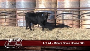Lot #44 - MILLARS SCALE HOUSE 308