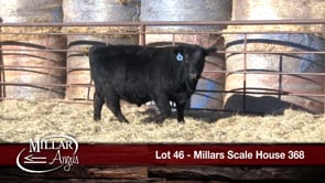 Lot #46 - MILLARS SCALE HOUSE 368
