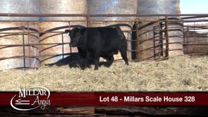 Lot #48 - MILLARS SCALE HOUSE 328