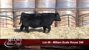 Lot #49 - MILLARS SCALE HOUSE 348