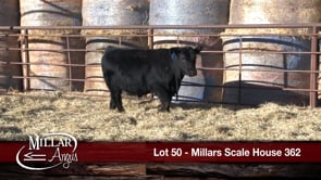 Lot #50 - MILLARS SCALE HOUSE 362