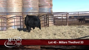 Lot #40 - MILLARS THEDFORD 33