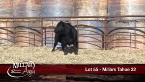 Lot #55 - MILLARS TAHOE 32