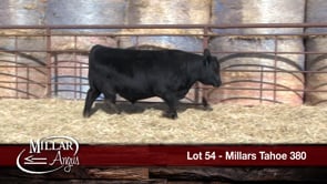 Lot #54 - MILLARS TAHOE 380