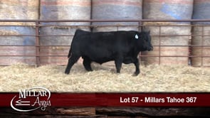 Lot #57 - MILLARS TAHOE 367