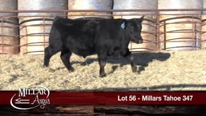 Lot #56 - MILLARS TAHOE 347