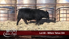 Lot #60 - MILLARS TAHOE 334