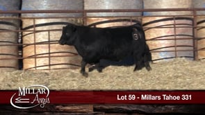 Lot #59 - MILLARS TAHOE 331