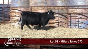 Lot #53 - MILLARS TAHOE 370