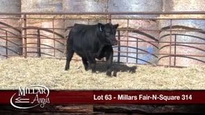 Lot #63 - MILLARS FAIR-N-SQUARE 314