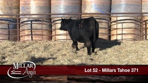 Lot #52 - MILLARS TAHOE 371