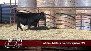 Lot #64 - MILLARS FAIR-N-SQUARE 327